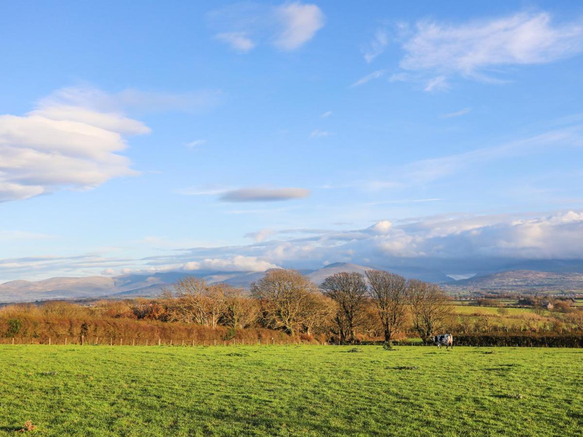 Appartamento Y Goedwig Llanfairpwllgwyngyll Esterno foto